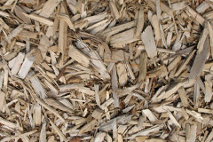 biomass boilers Tanwood